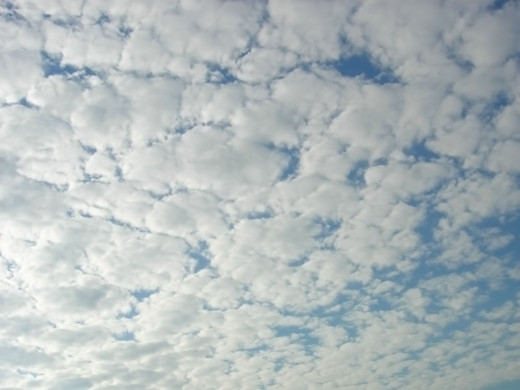 30441 (a): :1600x1200